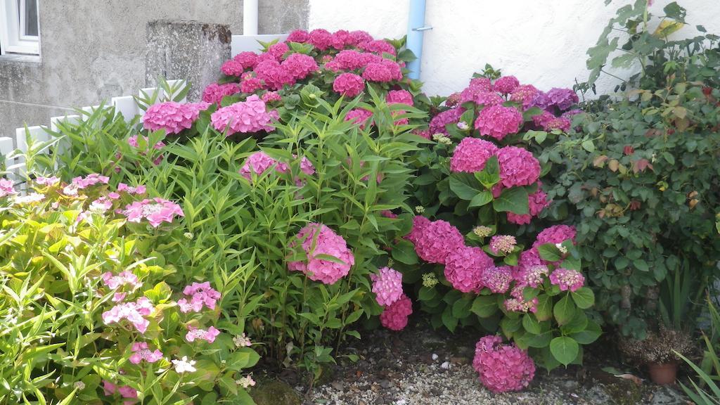 La Musardise Bed and Breakfast Guérande Exterior foto